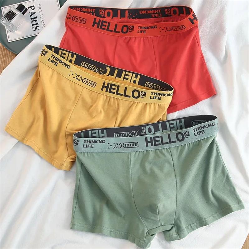 10 Stück/Herrenunterwäsche Män – Boxer Shorts Modal Bewertung und Preis